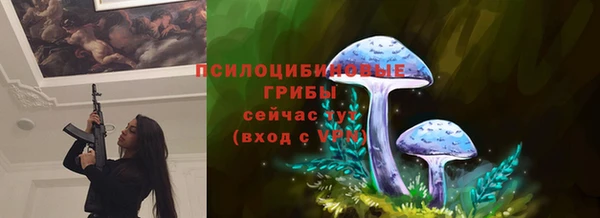 тгк Армянск