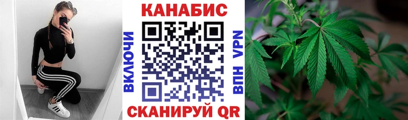Канабис Bruce Banner  kraken ONION  Палласовка  купить закладку 